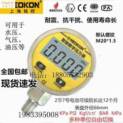 “長(zhǎng)春數(shù)字?jǐn)?shù)顯壓力表“/